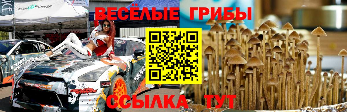 магазин продажи   Галлюциногенные грибы Magic Shrooms  Вход с VPN  Чебаркуль 